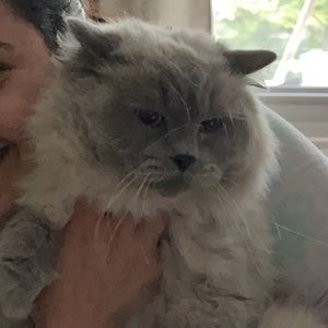 Meet your Posher, Aroosa